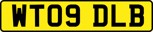 WT09DLB