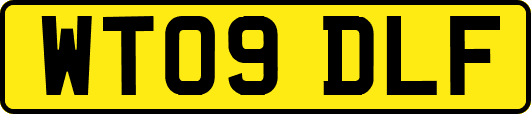WT09DLF
