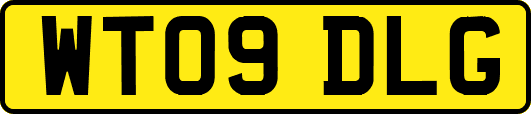 WT09DLG