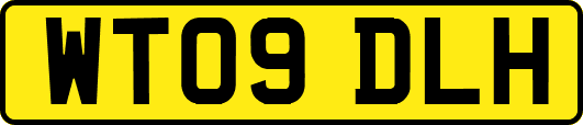 WT09DLH