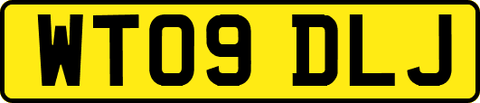 WT09DLJ