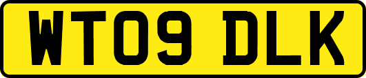 WT09DLK