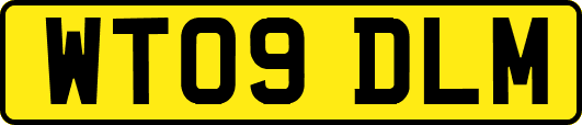 WT09DLM