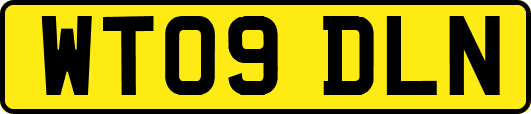 WT09DLN