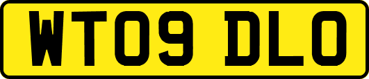 WT09DLO
