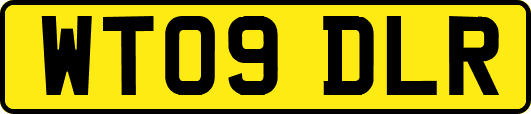WT09DLR