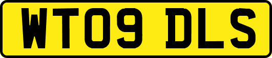 WT09DLS