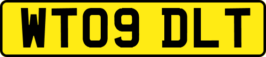 WT09DLT