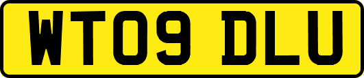 WT09DLU
