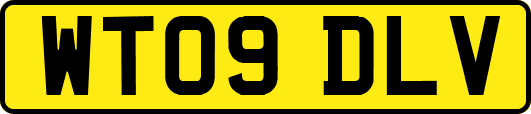 WT09DLV