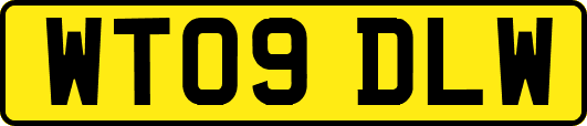 WT09DLW