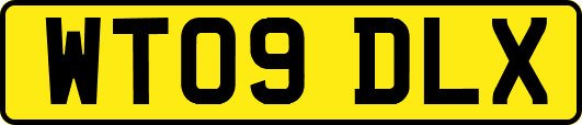 WT09DLX