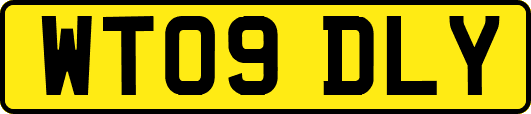 WT09DLY