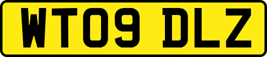 WT09DLZ