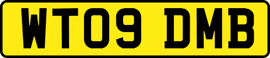 WT09DMB