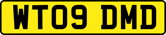 WT09DMD