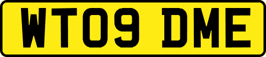 WT09DME