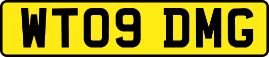 WT09DMG