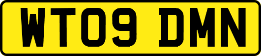 WT09DMN