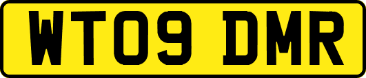 WT09DMR
