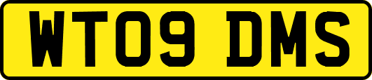 WT09DMS