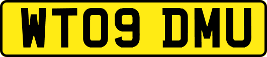 WT09DMU