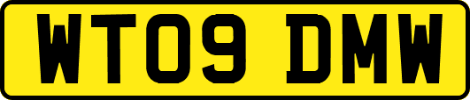 WT09DMW