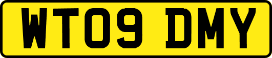 WT09DMY