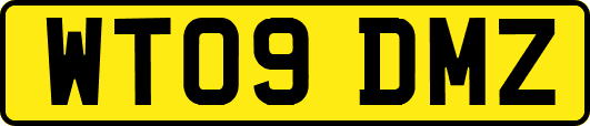 WT09DMZ