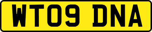 WT09DNA
