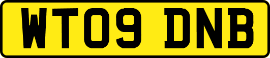 WT09DNB