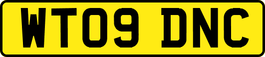 WT09DNC