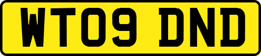 WT09DND