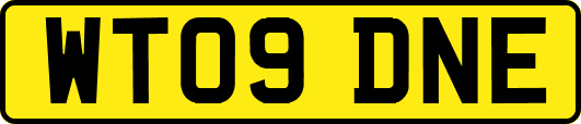 WT09DNE