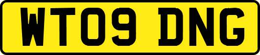 WT09DNG