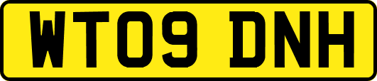 WT09DNH