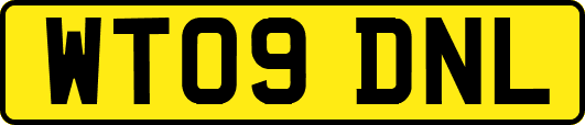 WT09DNL