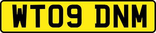 WT09DNM