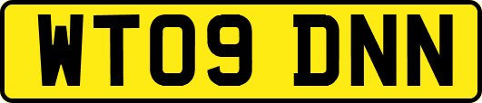 WT09DNN