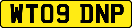 WT09DNP