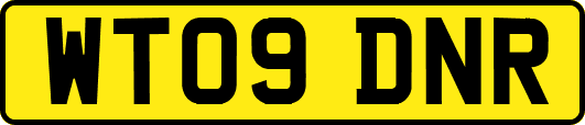 WT09DNR