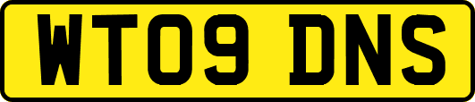 WT09DNS