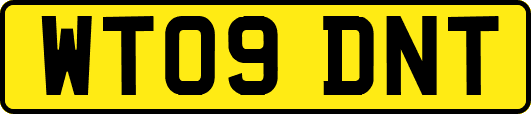 WT09DNT