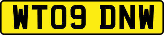 WT09DNW