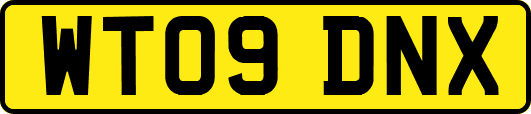 WT09DNX