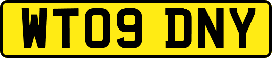WT09DNY