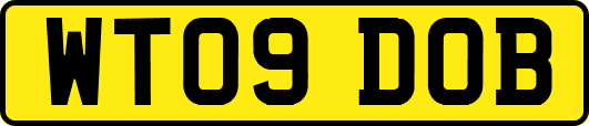 WT09DOB