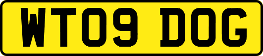 WT09DOG