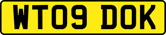 WT09DOK