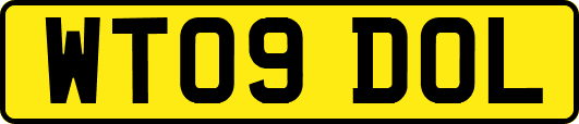 WT09DOL